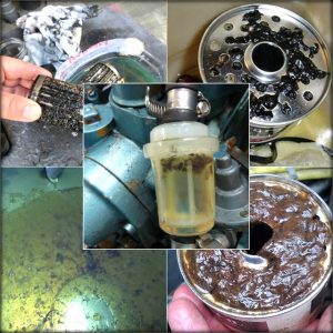 Tratamiento Bacteriano del Gasoleo